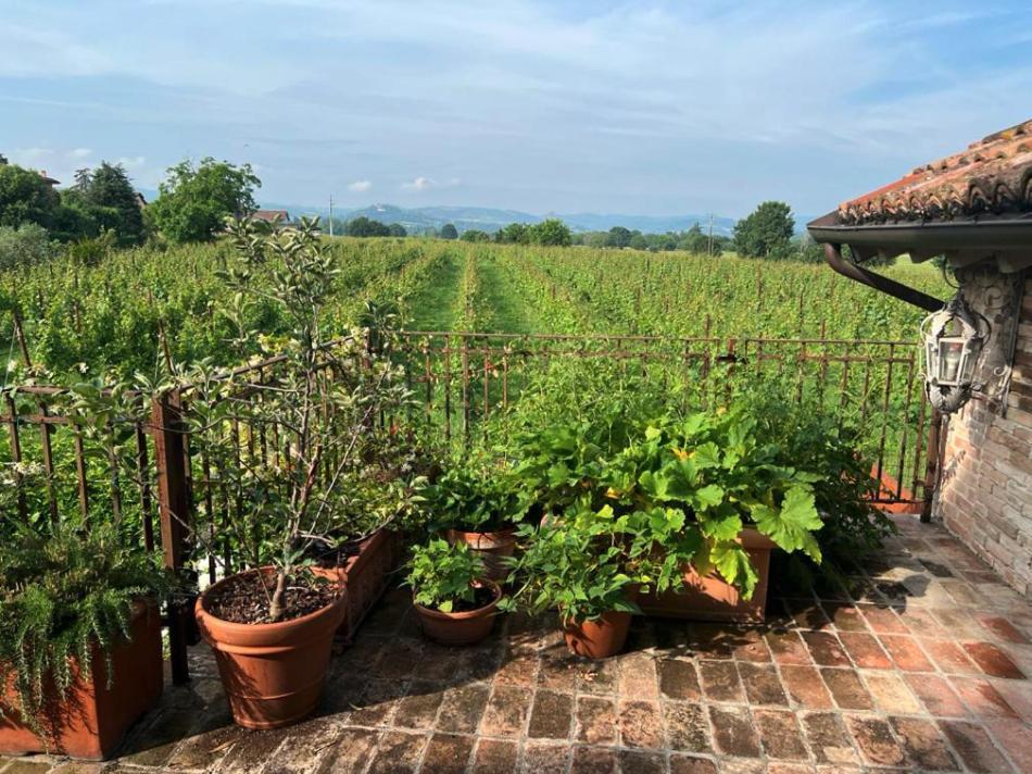 Casale Hortensia Reggio Emilia Dış mekan fotoğraf